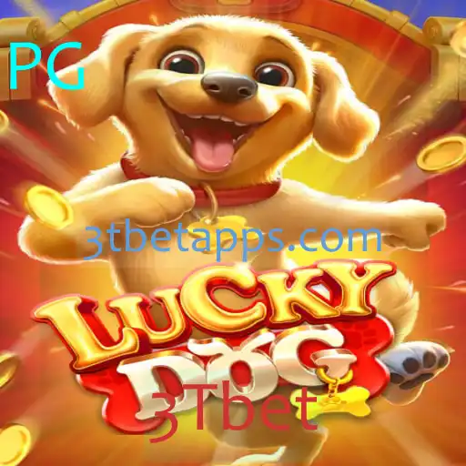 Descubra Tudo Sobre LuckyDog e Como Jogar no 3Tbet