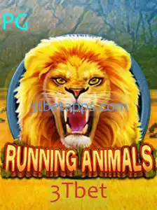 RunningAnimals: Descubra o Mundo de Apostas Divertidas com 3Tbet
